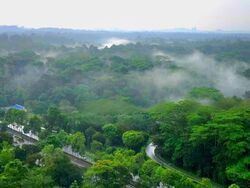 Eco Sanctuary (D23), Condominium #483628781